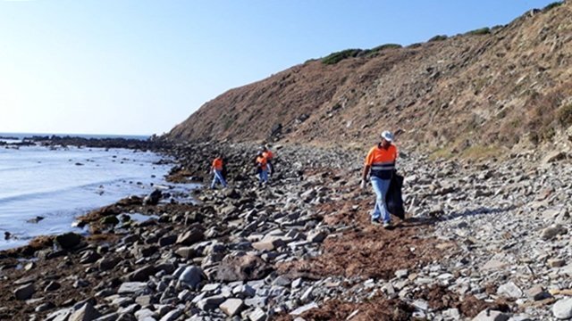 Operarios limpian la playa de Calarena