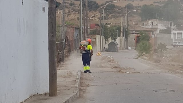 Personal de Algesa llevando a cabo las tareas de limpieza y desbroce en Pajarete