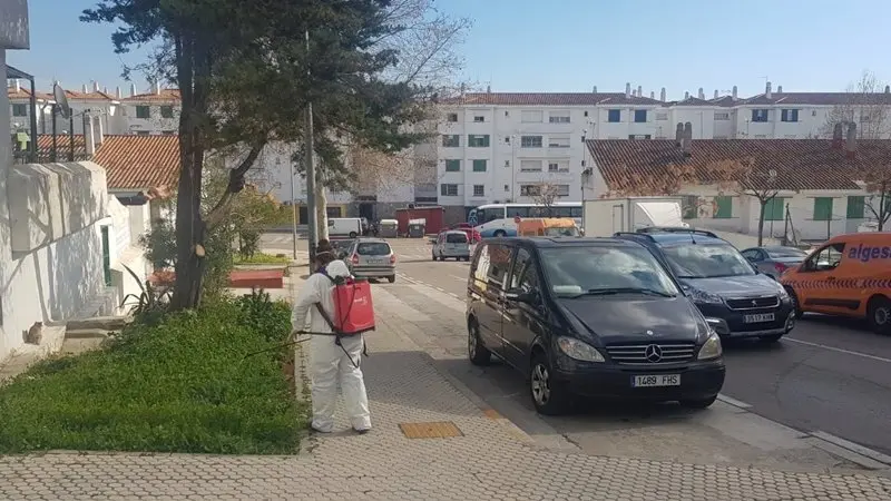 FUMIGACI&Oacute;N
