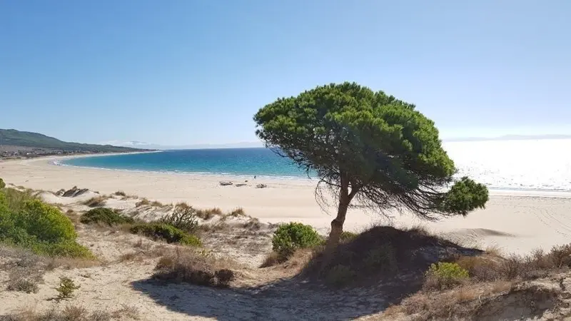 Bolonia