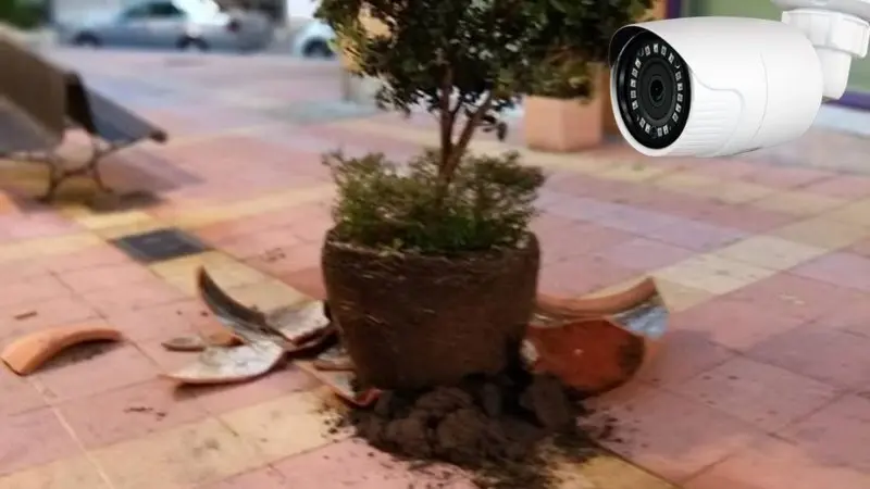 Vandalismo y videovigilancia