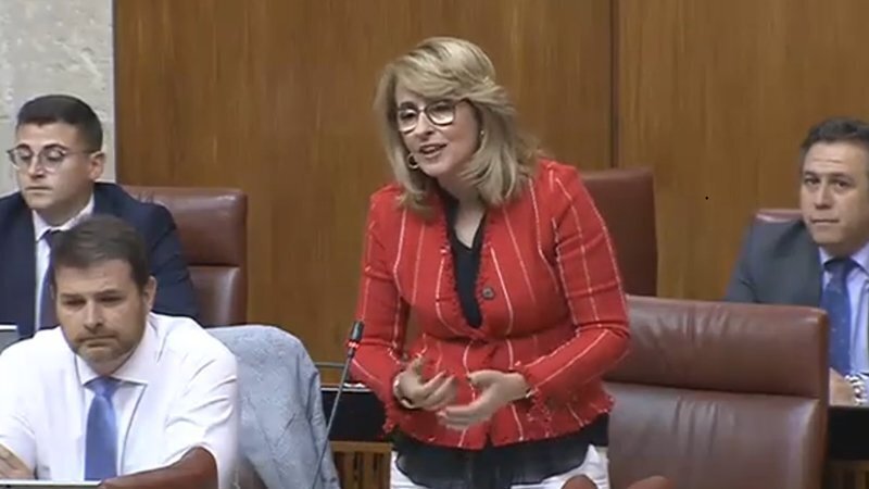 Pilar Pintor en el Parlamento Andaluz