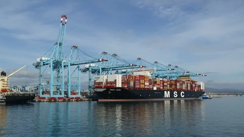 Gruas APM Puerto Algeciras