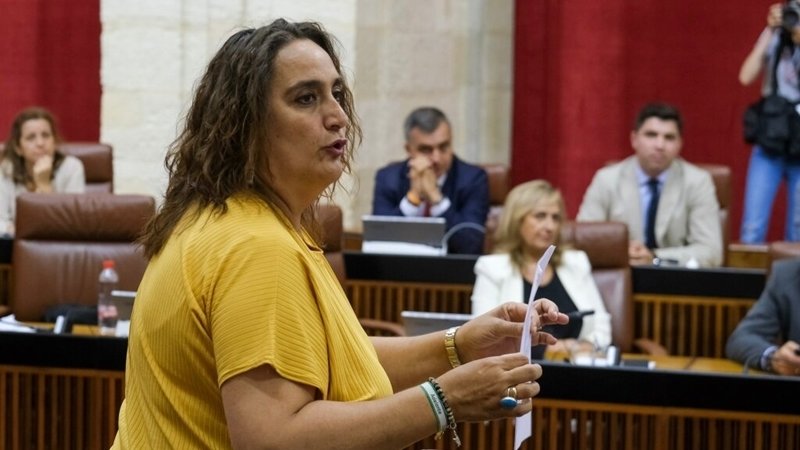 Angela Aguilera durante una intervencion en el Parlamento