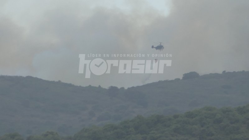 Incendio Forestal en Algeciras