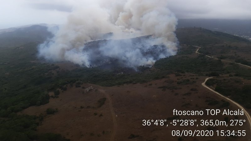 Incendio Forestal en Algeciras1