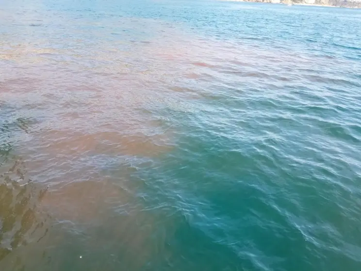 Vertidos en la Bah&iacute;a