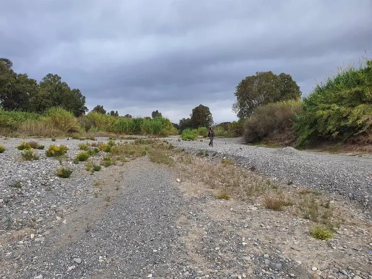 Desembocadura del r&iacute;o Genal en el Guadiaro&nbsp;- VERDEMAR