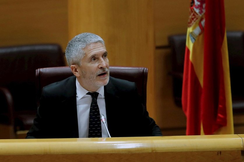Fernando Grande Marlaska en el senado