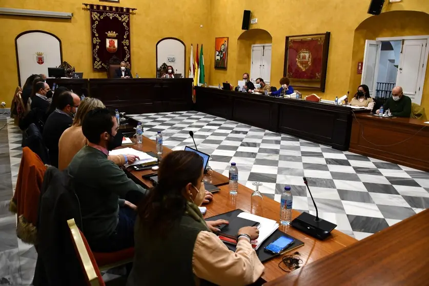 Pleno Ordinario enero3