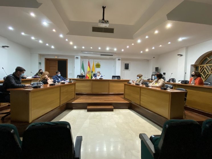 Reunión comisiones del Consejo Local de la Mujer