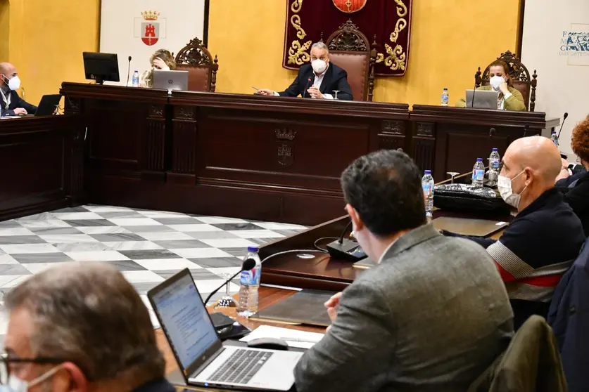 pleno de san roque