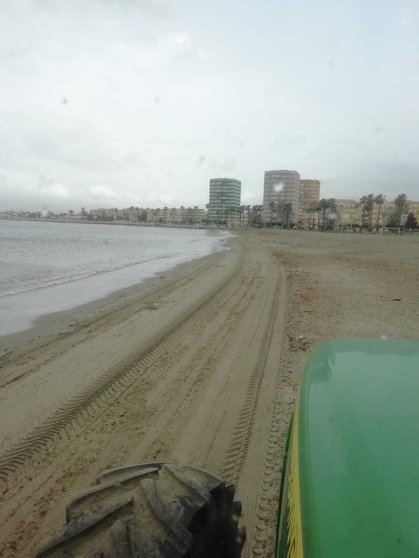 Limpieza en la playa de Poniente