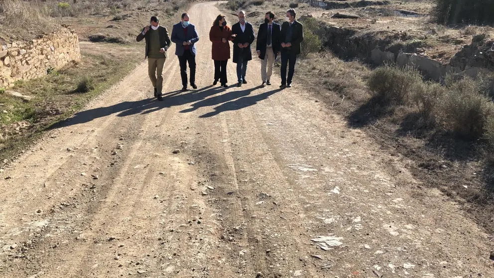 Un camino forestal en Andaluc&iacute;a