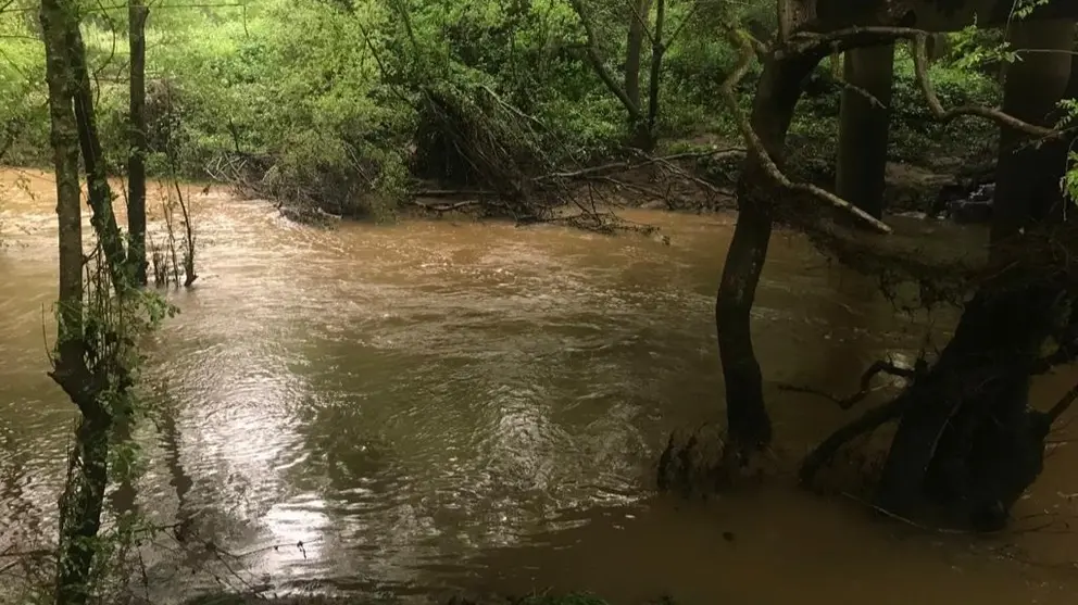 Un arroyo de Los Barrios cargado de agua