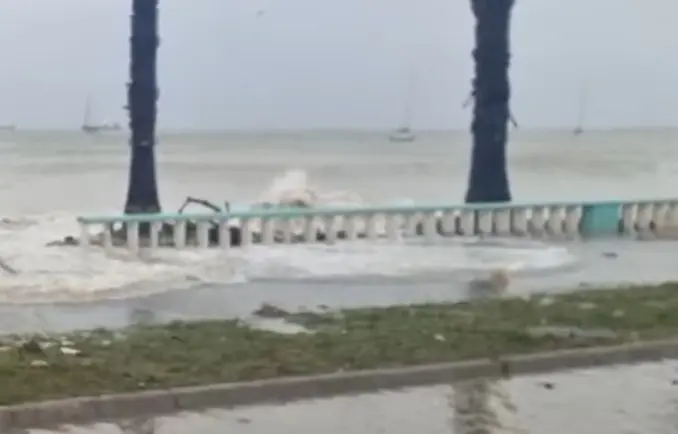 Da&ntilde;os en La L&iacute;nea por el temporal