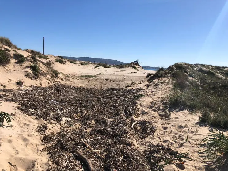 LA MAREA EN LAS DUNAS