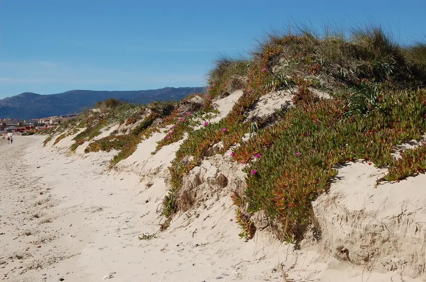 Dunas de El Rinconcillo