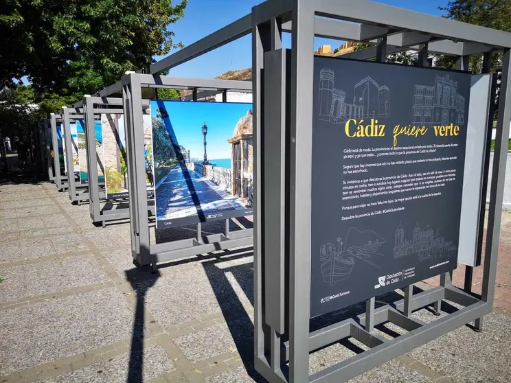 La exposici&oacute;n C&aacute;diz Quiere Verte