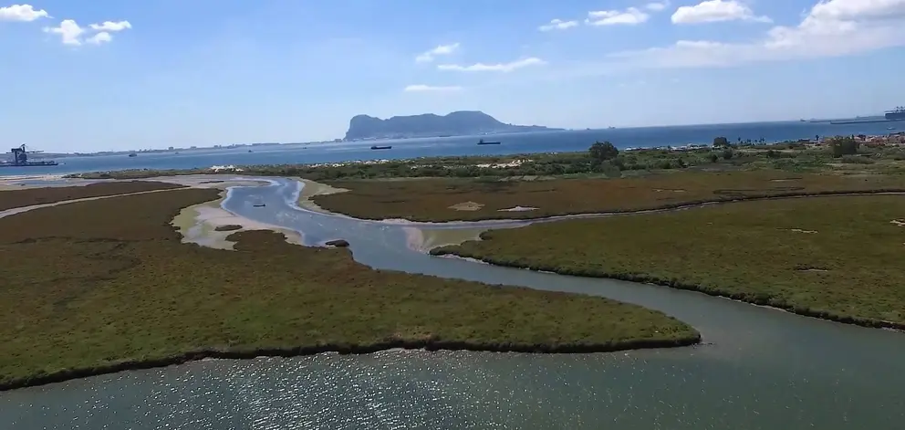 Marismas de Palmones