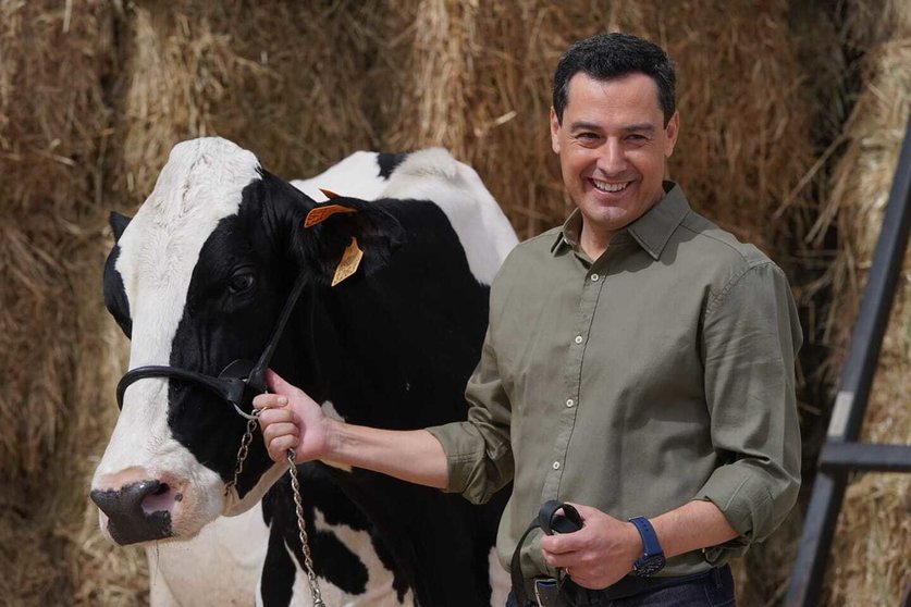 Juanma Moreno, con la que considera su "vaca talismán"