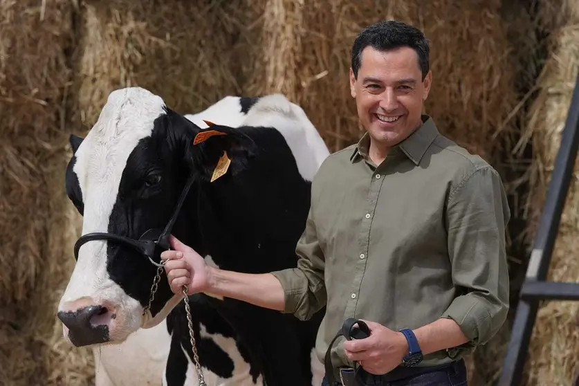 Juanma Moreno, con la que considera su "vaca talism&aacute;n"