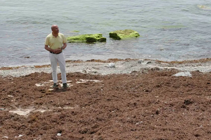 &Aacute;ngel Mart&iacute;nez en la playa de Getares