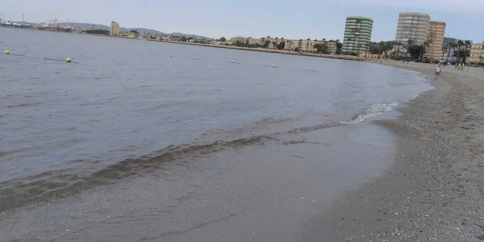 Playa de Poniente de La L&iacute;nea