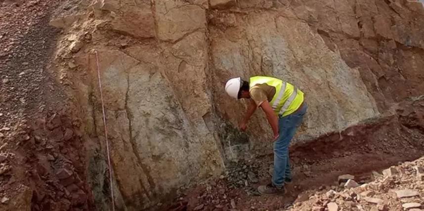 Restos fosiles de hace más de 200 millones de años en Algeciras