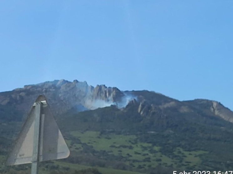 Incendio forestal declarado en el paraje Betis, en Tarifa