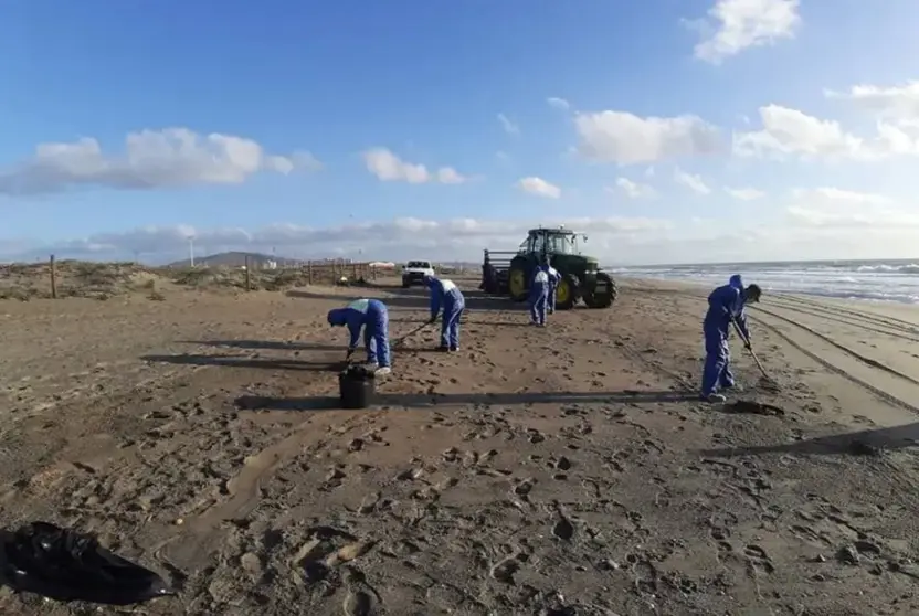 Tareas de limpieza en el litoral linense
