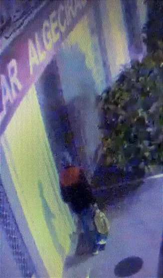 Imagen captada por las c&aacute;maras