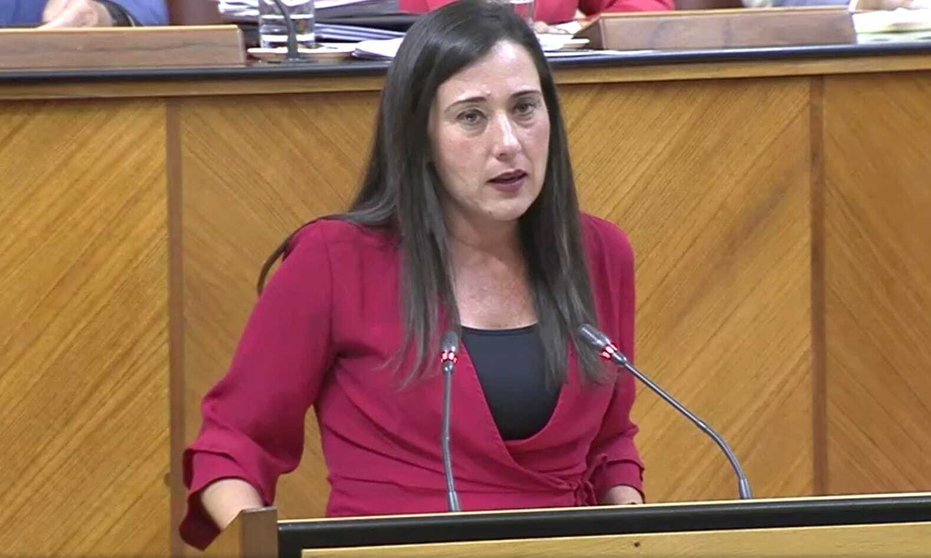 Arrabal criticando a Landaluce en Parlamento Andaluz