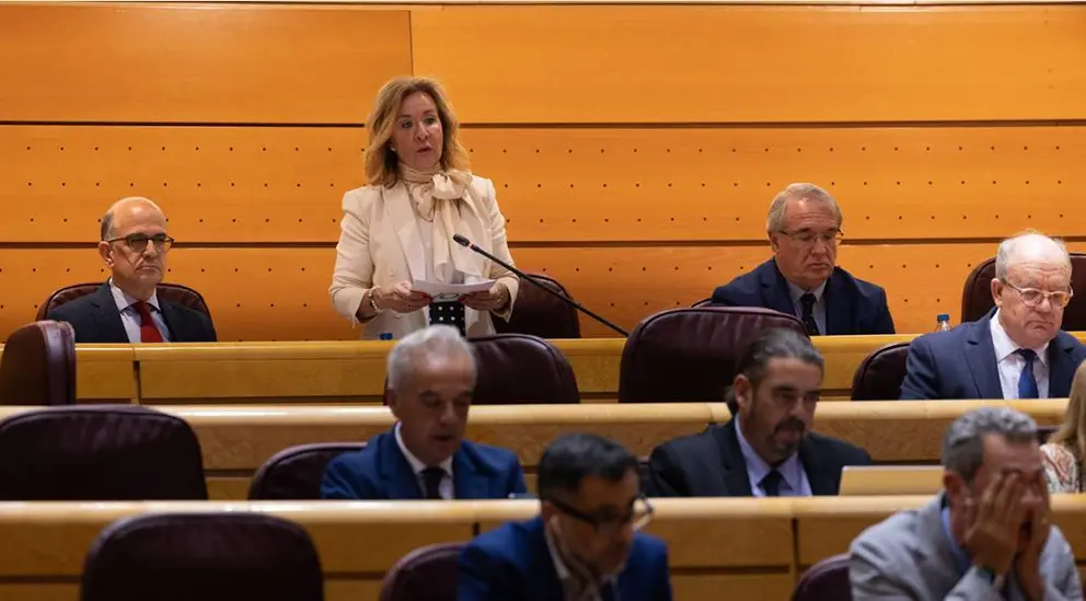 La senadora Merelo, durante su intervenci&oacute;n