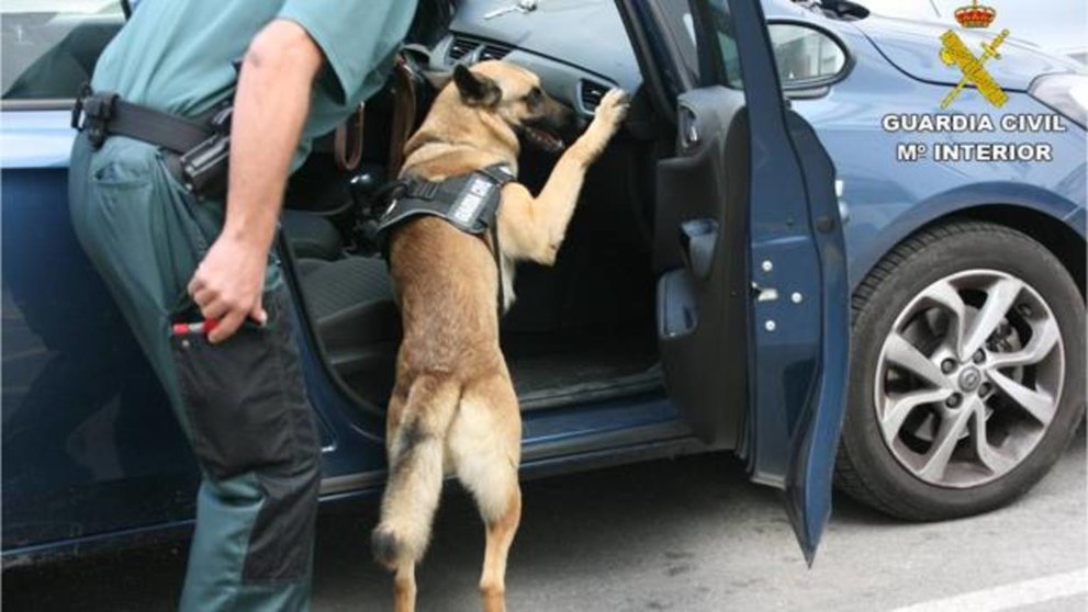 Un agente de la Guardia Civil y su compañero canino, buscando estupefacientes en un vehículo