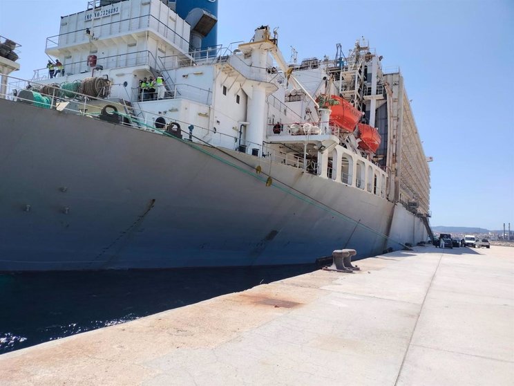 El buque 'Mawashi Express' atracado en San Roque. - VERDEMAR