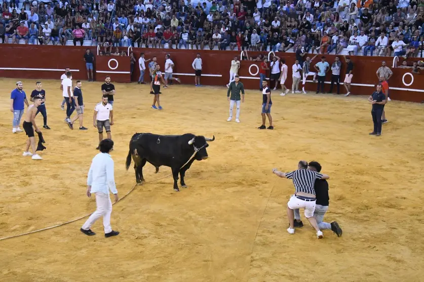 Toro del Aguardiente 2022