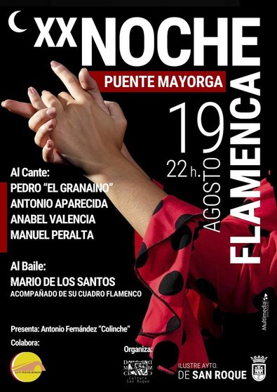 Cartel de la Noche Flamenca en Puente Mayorga