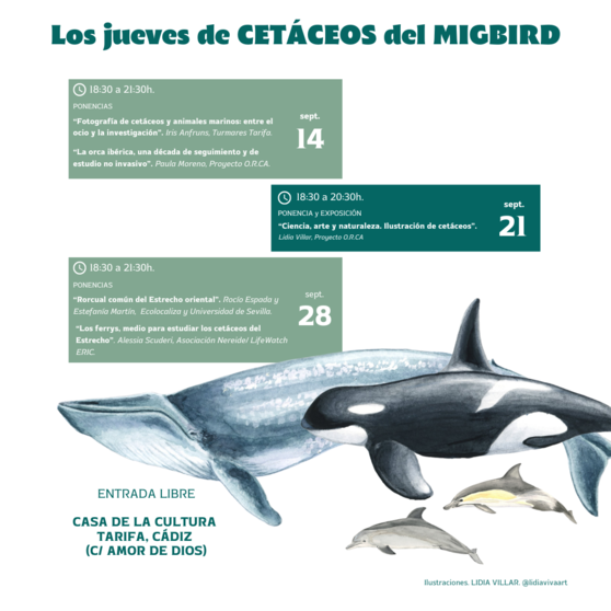 CARTEL cetáceos MIGBIRD IG