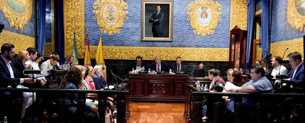 Pleno ordinario