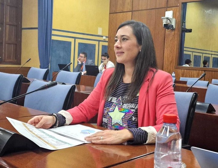 Arrabal en la Comisión de Salud del Parlamento Andaluz