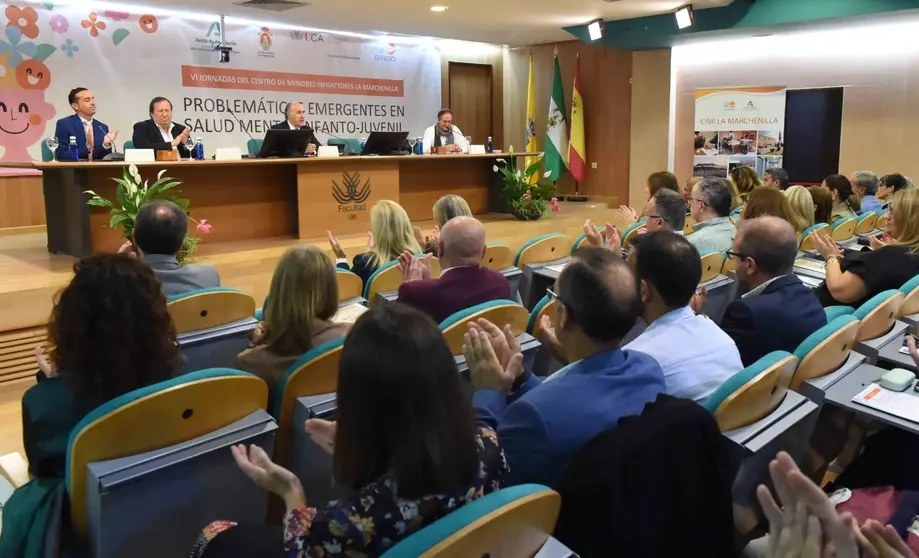 Jornadas de salud mental infanto juvenil