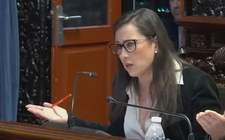 Roc&iacute;o Arrabal en el pleno del pasado 29 enero