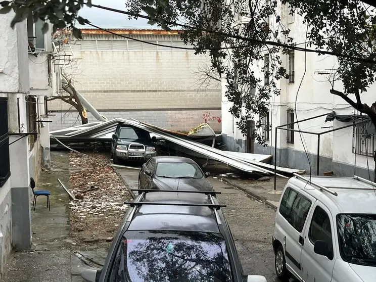 Efectos del temporal