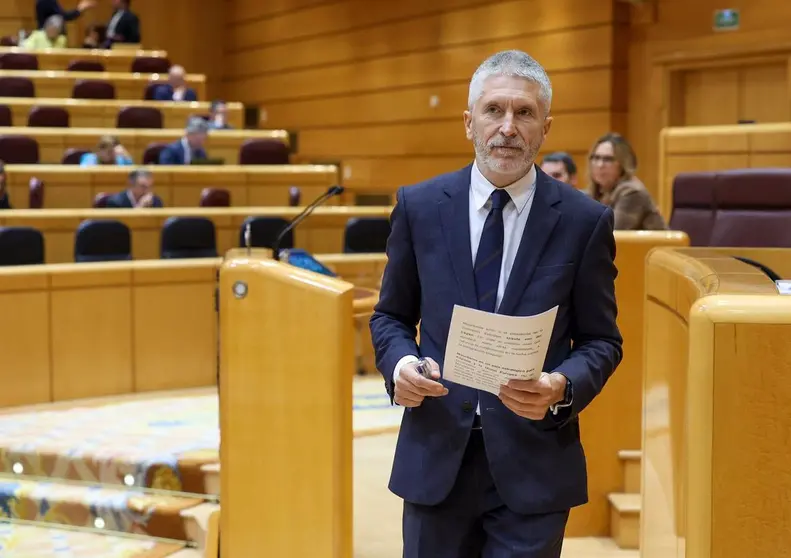 Marlaska, en el Senado