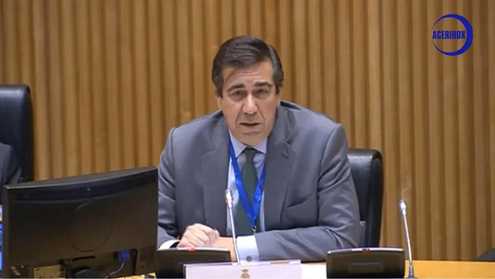 Bernardo Velazquez, consejero delegado de Acerinox