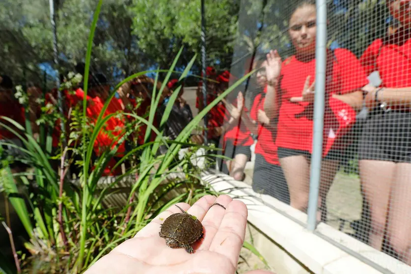 Gal&aacute;pagos en Madrevieja Fundaci&oacute;n Cepsa