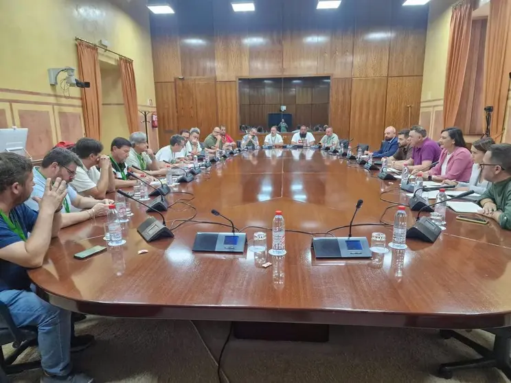 Trabajadores de Acerinox junto a representantes pol&iacute;ticos en el Parlamento Andaluz