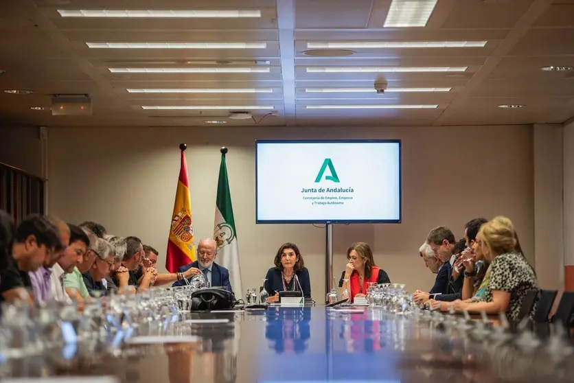 Reuni&oacute;n en la Consejer&iacute;a de Empleo entre Junta, Acerinox y sindicatos