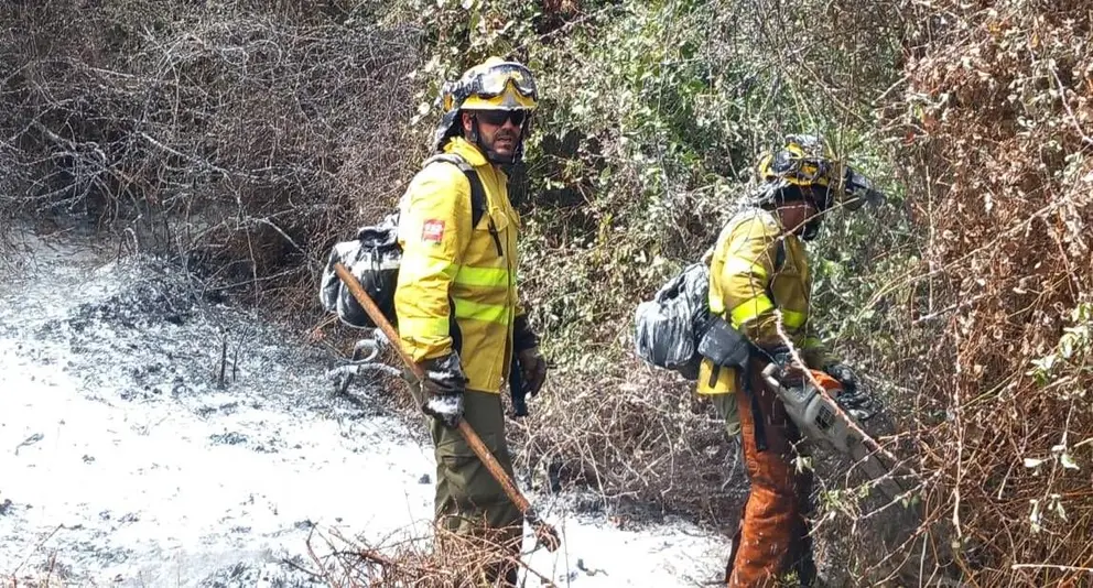 Incendio forestal en Pelayo
